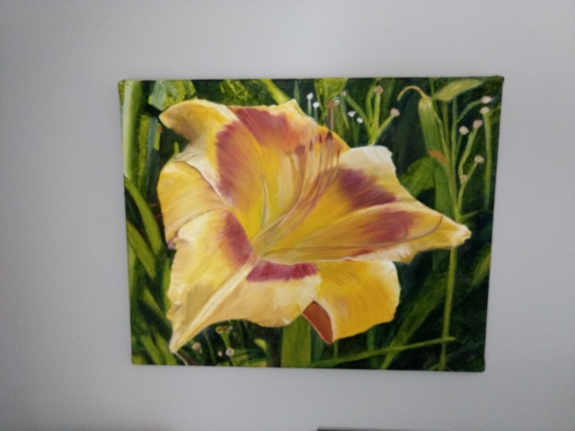 Day Lily from Garden (640x480).jpg